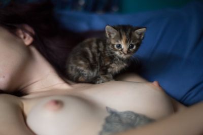 Кисы