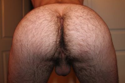 Hairy Ass Porn