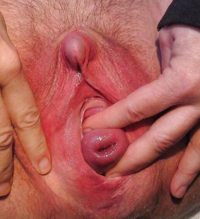 Dick Inside Pussy