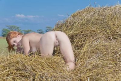 Erotica in a Haystack
