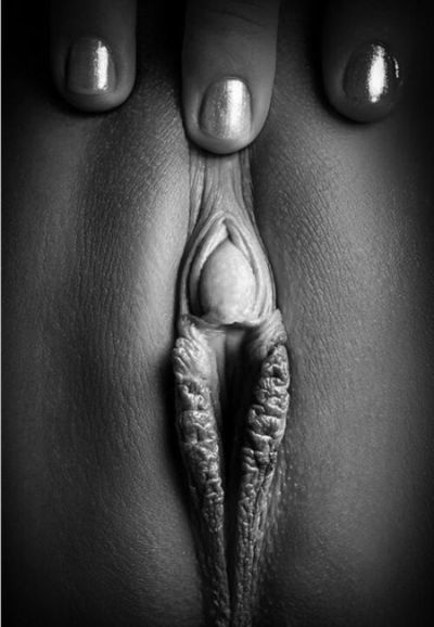 Pussy Photography