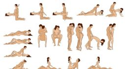 Porn Positions