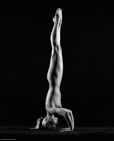 Сексуальная акробатика