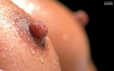 Женские сосочки