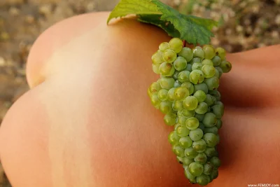 Виноград культурный