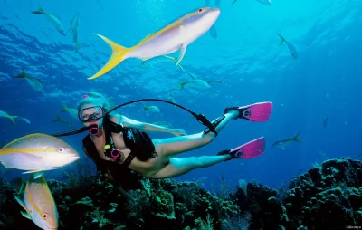 Подводный мир