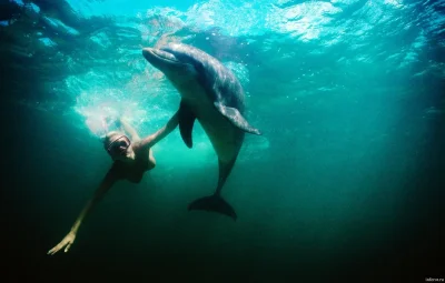 Подводные фотографии