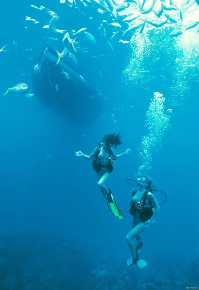 Дайвинг женщин