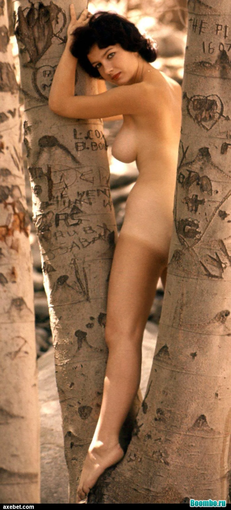 Обнаженные девушки 60-х 18+