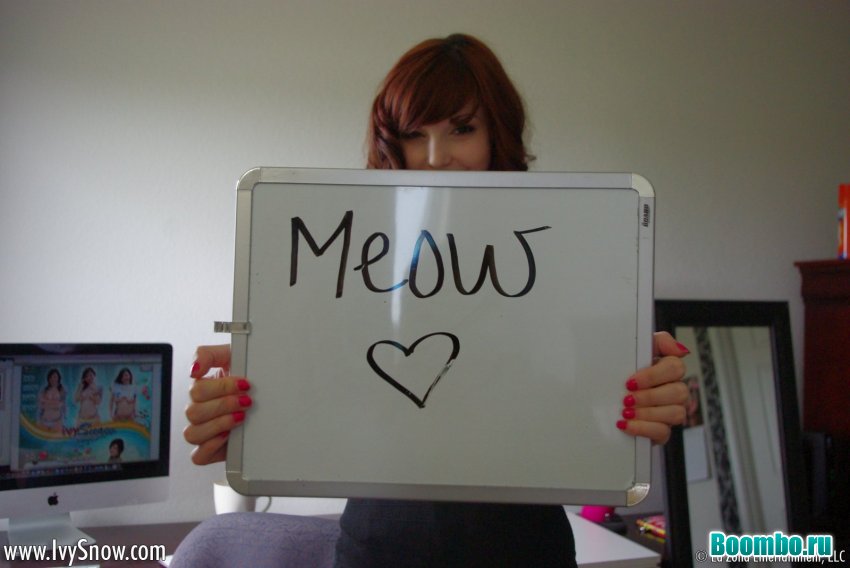 Логотип кот