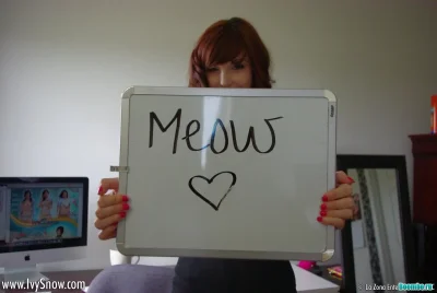 Логотип кот