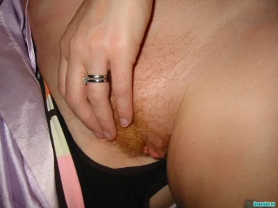 Рыжая пушистая кошка