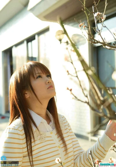 Амами цубаса