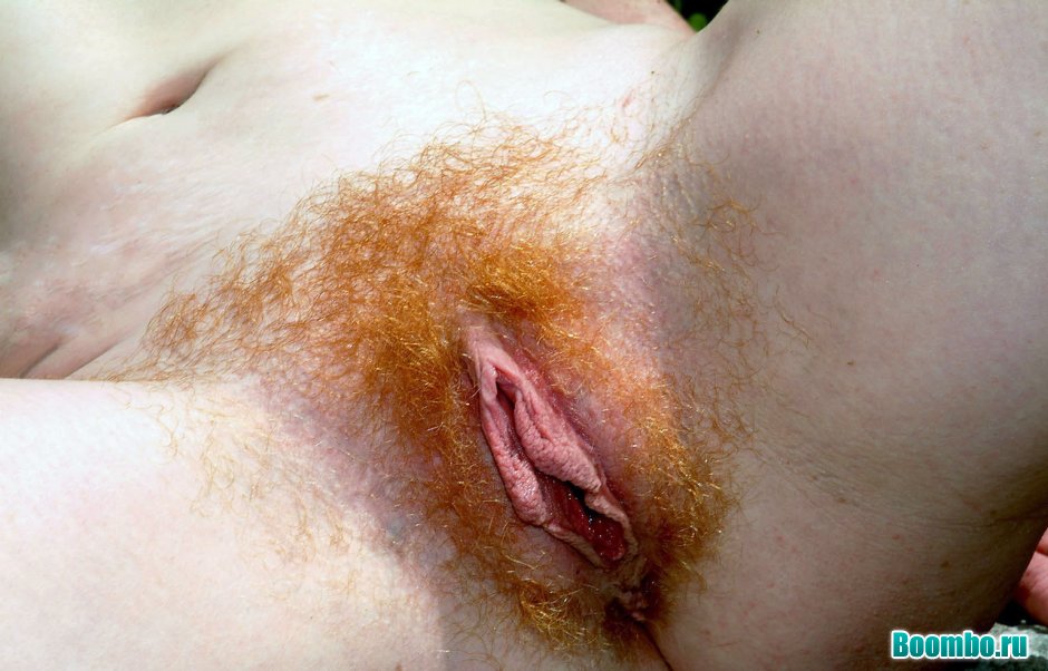 Рыжие лобковые волосы