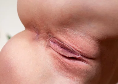 Розовые пионы