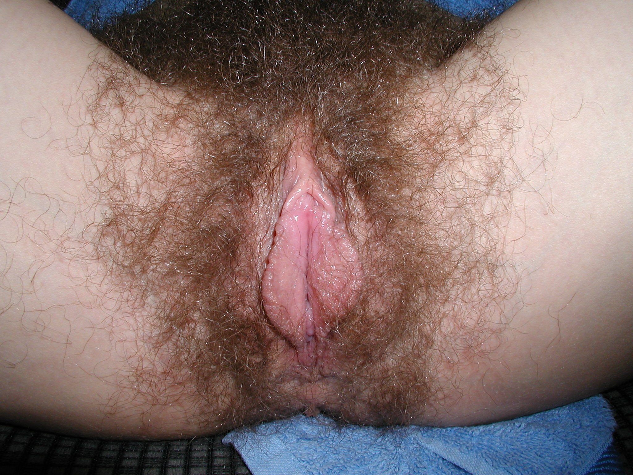 Девушка с волосатым влагалищем (61 фото) - секс и порно
