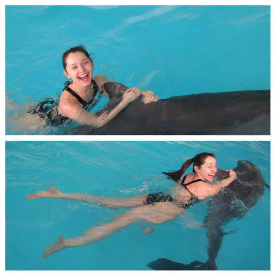 Плавать с дельфинами