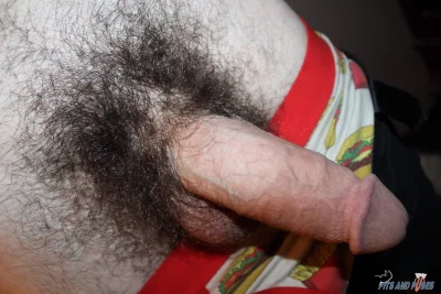 Большие волосатые члены