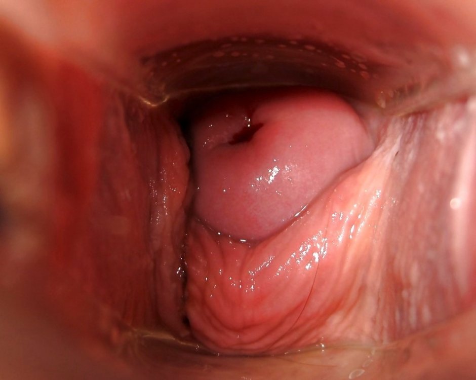 Камера внутри влагалища