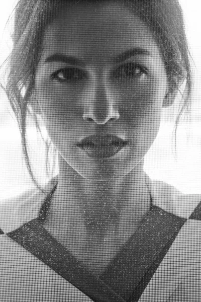 Портрет знаменитостей