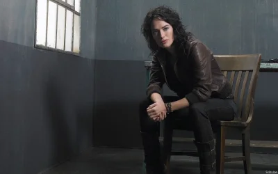 Хроники сары коннор лена хиди