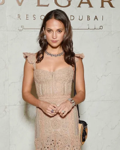 Алисия викандер в платье