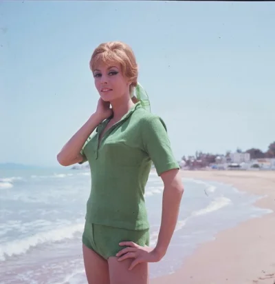 Актриса мишель мерсье