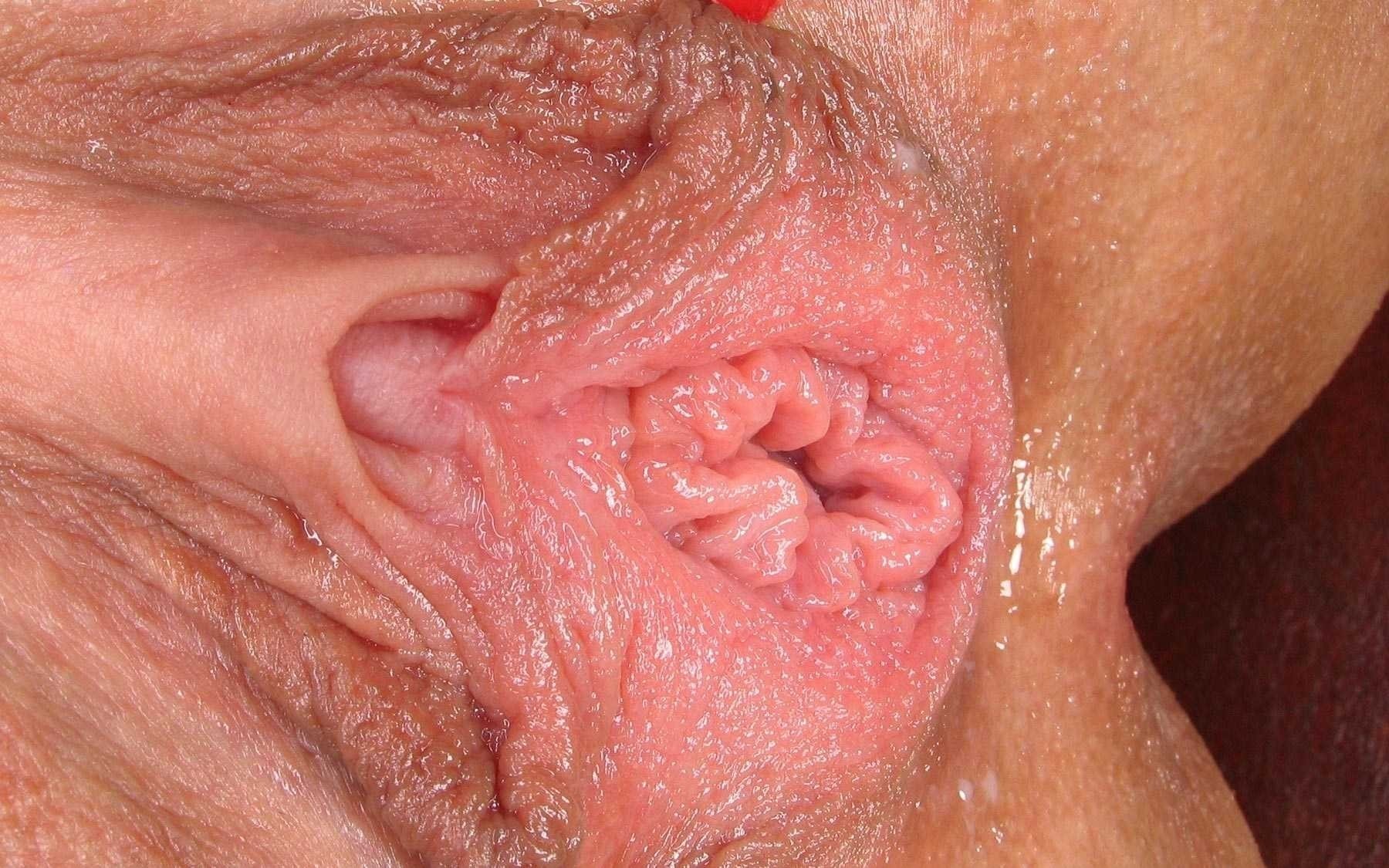 Clitoris pussy vulva pictures.