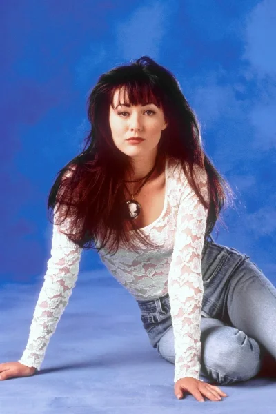 Беверли хиллз шеннен доэрти