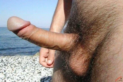 Волосатые члены порно