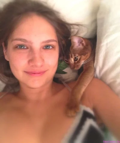 Абиссинская кошка