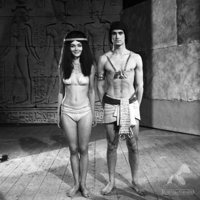 Барбара брыльска в фильме фараон