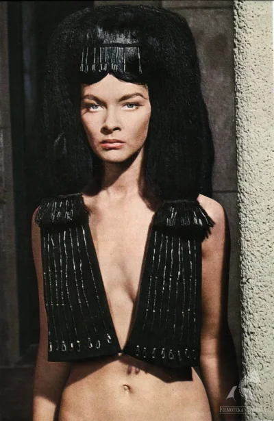 Фараон барбара брыльска