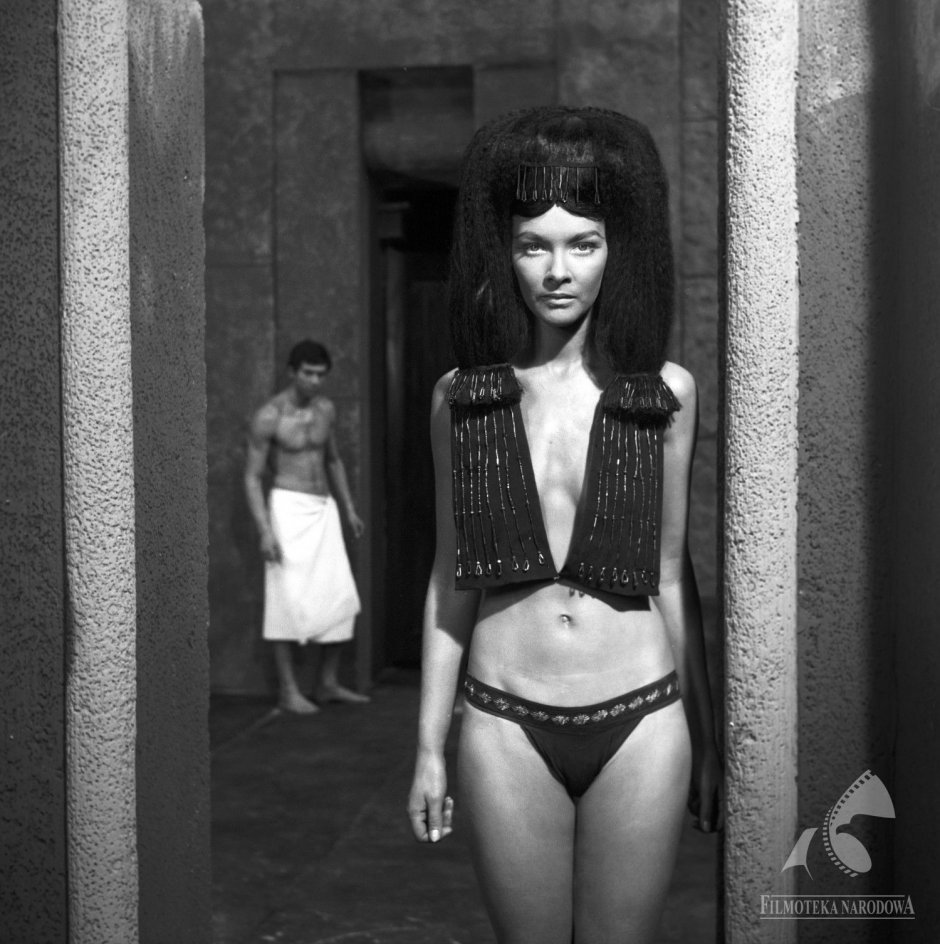 Фараон барбара брыльска