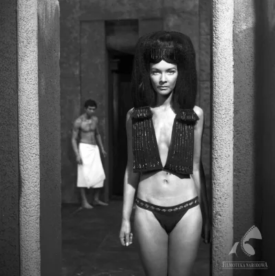 Фараон барбара брыльска