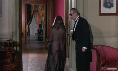 Дневная красавица belle de jour