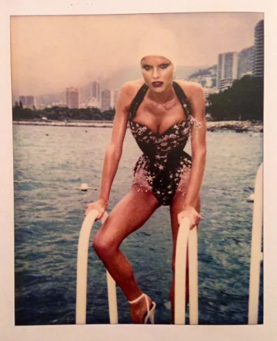 Бригитта нильсен в молодости