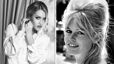 Брижит бардо бабетта