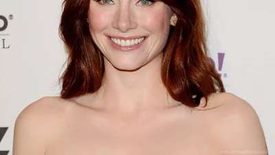 Ховард брайс даллас