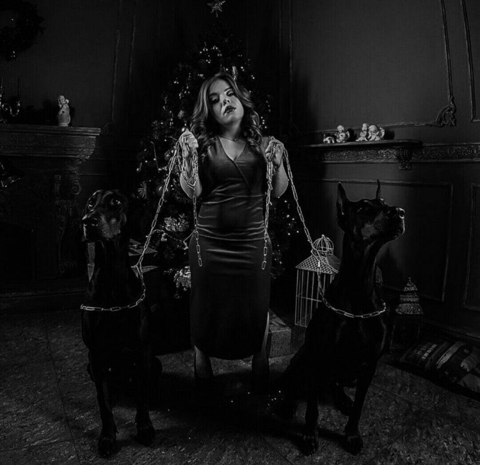 Фотосессии с доберманом