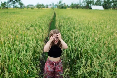 Рис на поле