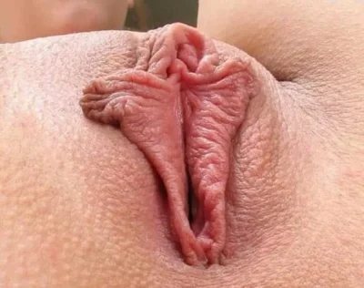 Огромная свинья