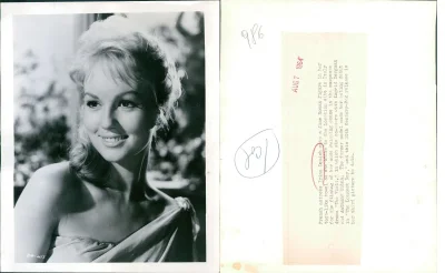 Милен демонжо миледи