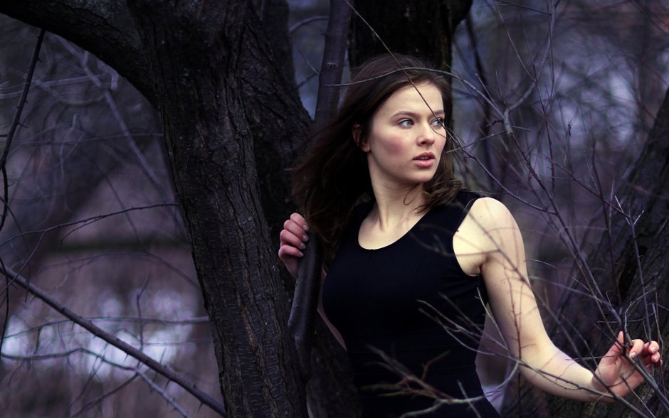 Вера шпак биография