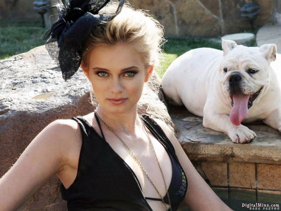 Французская бульдог