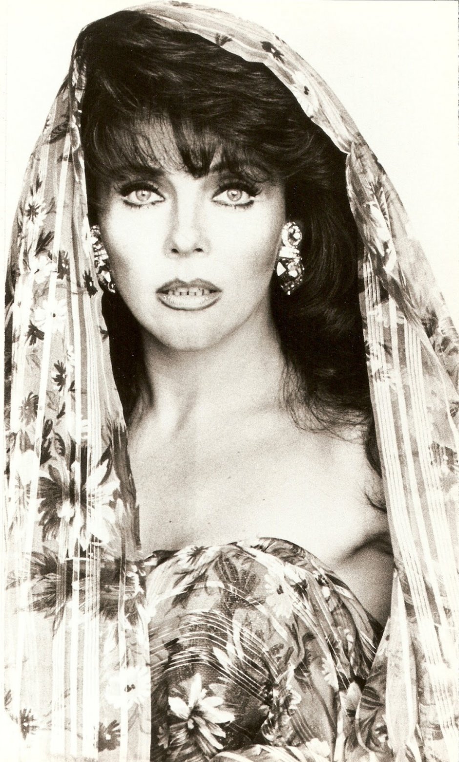 Вероника кастро биография