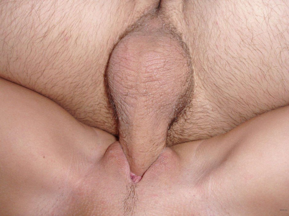 Дома в селе