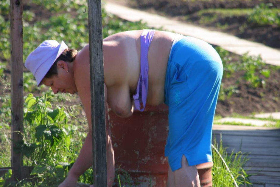 Бабы на даче