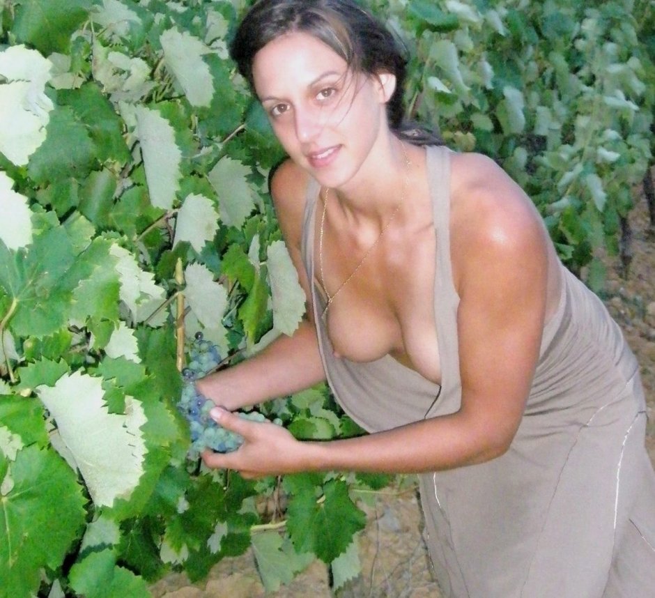 Засветила на даче