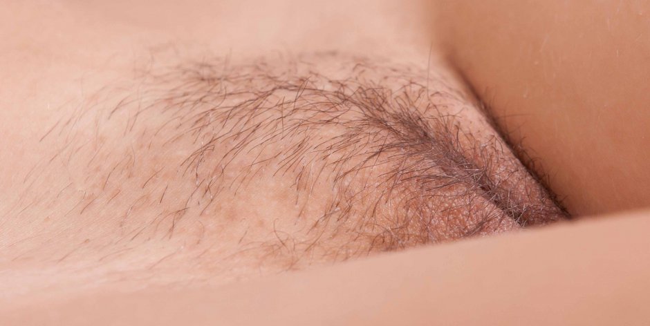 Светлые волосики на лобке